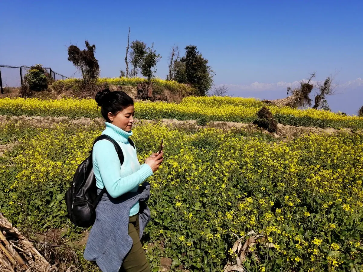 Girl taking picture of sunflower 