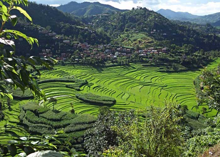 balthali hiking