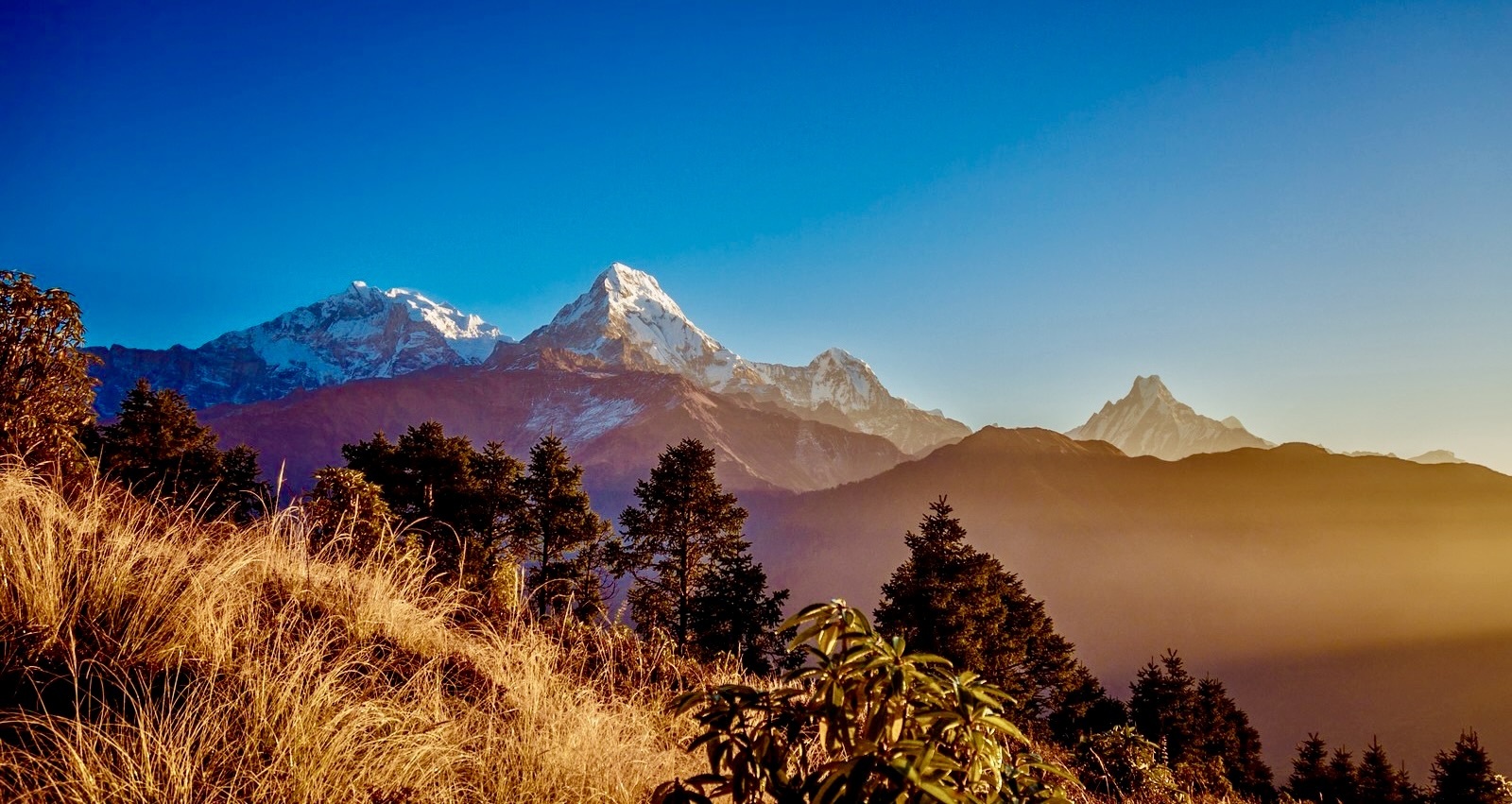 Poon Hill