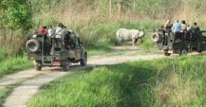 Rhinos in Jeep Safari