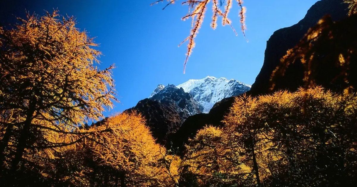 Best time in nepal-Autumn season
