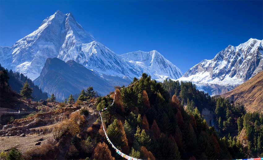 Lush Dense forest and mountain backgrounf on the way to Manaslu Circuit Trek:
