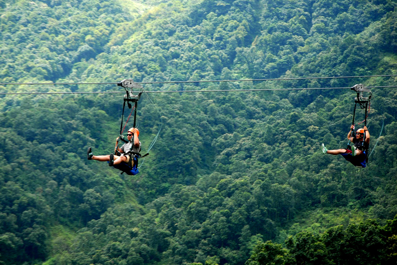 ziplining experience by the people in the middle of the forest
