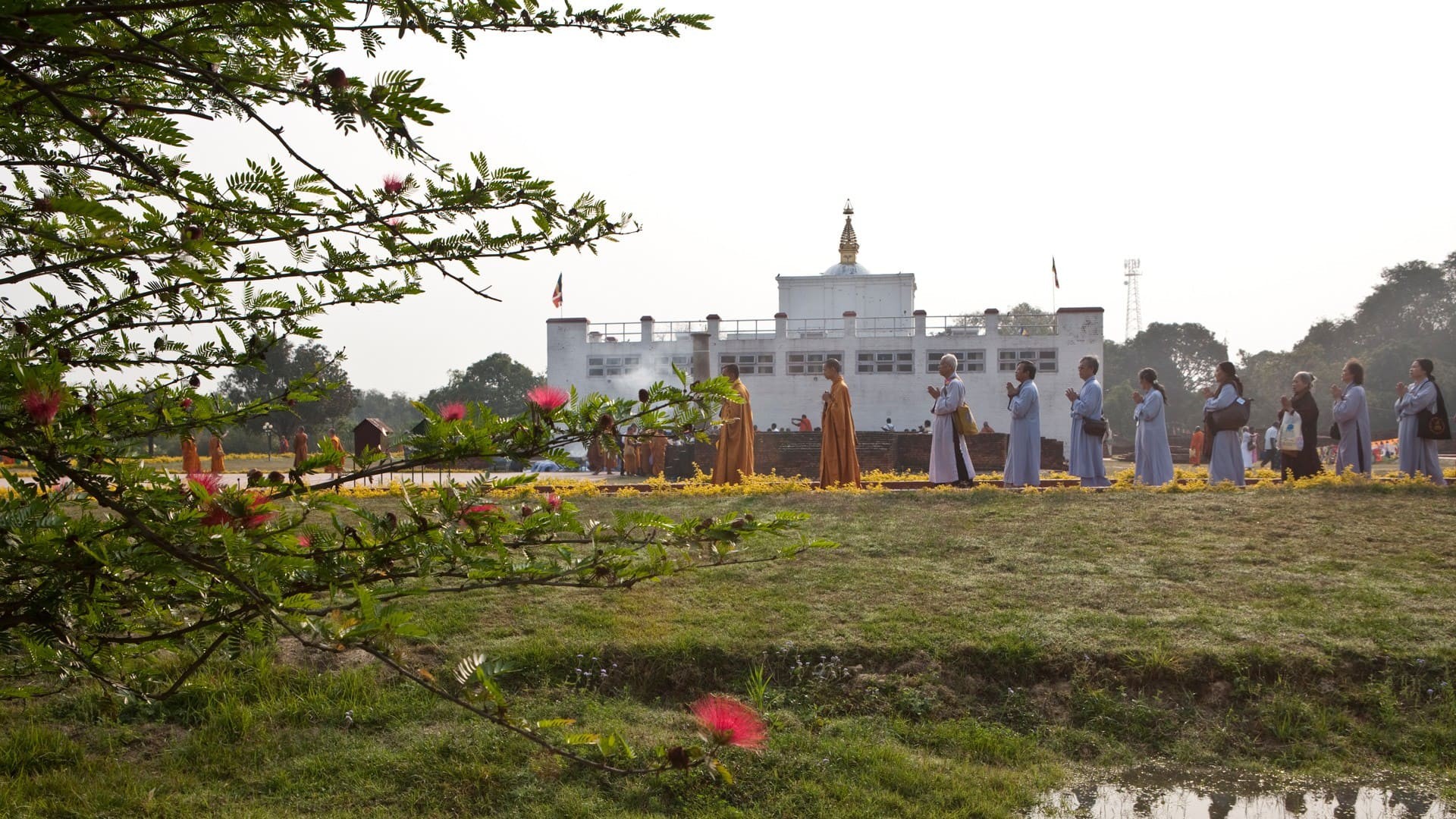 monks or devotees in robes, are gathered outdoors near a white temple-like structure with a golden spire, surrounded by a field of green grass and yellow flowers in lumbini