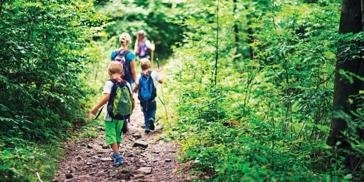 A group of people, including several children and a dog, are hiking on a narrow dirt trail through a dense, green forest.